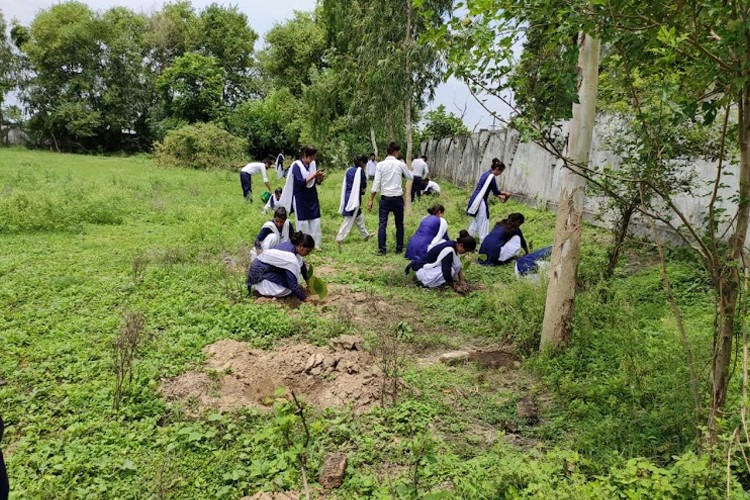 Royal Prudence Degree College, Lakhimpur Kheri