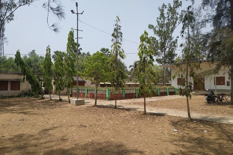 Rural Institute of Higher Studies, Baleswar