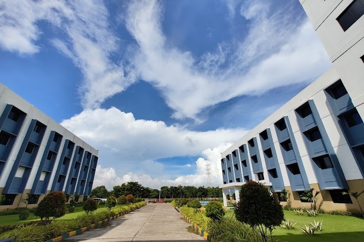 S. A. College of Arts & Science, Chennai