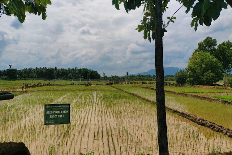 S.Thangapazham Agriculture College, Tenkasi