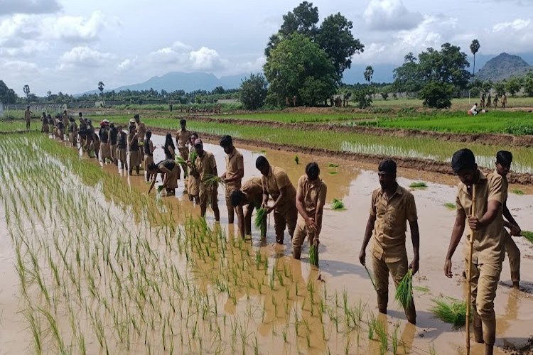 S.Thangapazham Agriculture College, Tenkasi