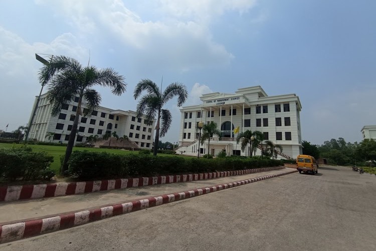 School of Management Sciences, Lucknow