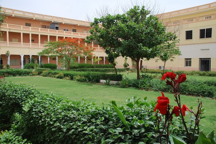 Shekhawati Group of Colleges, Jhunjhunu