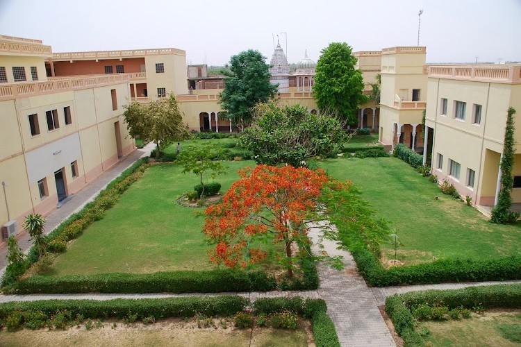 Shekhawati Group of Colleges, Jhunjhunu