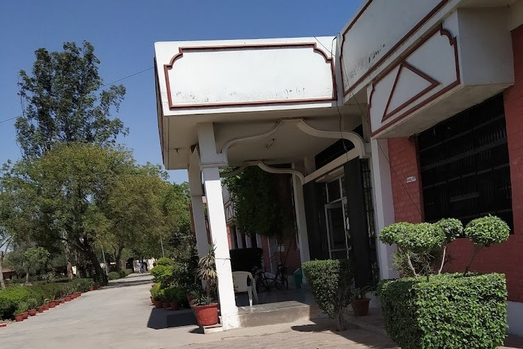 SJK College, Rohtak