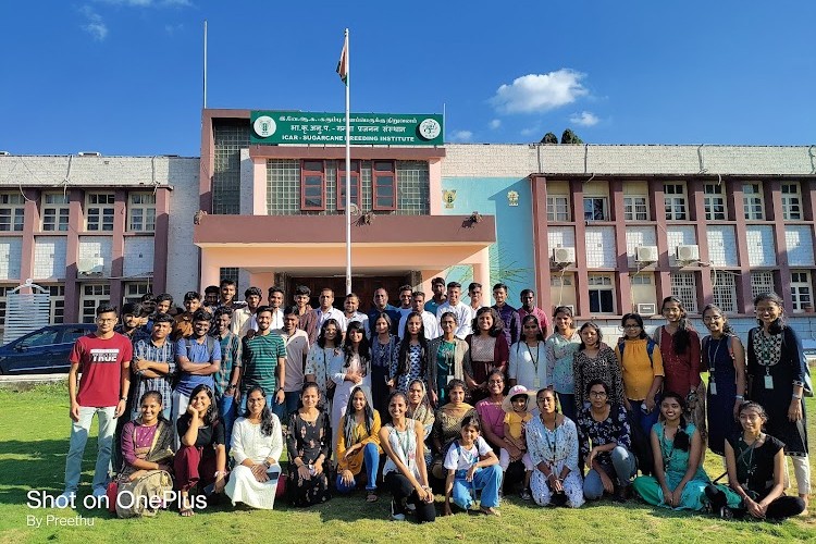 Sugarcane Breeding Institute, Coimbatore