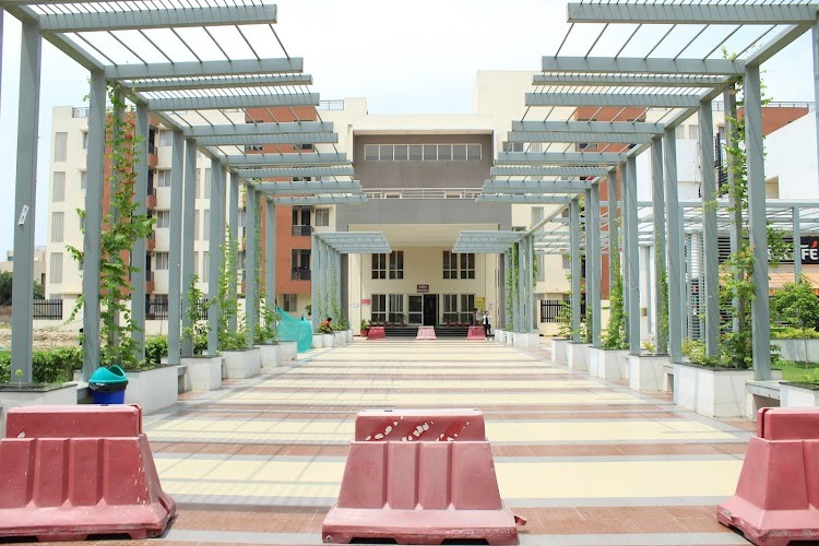 Symbiosis Centre for Management Studies, Noida