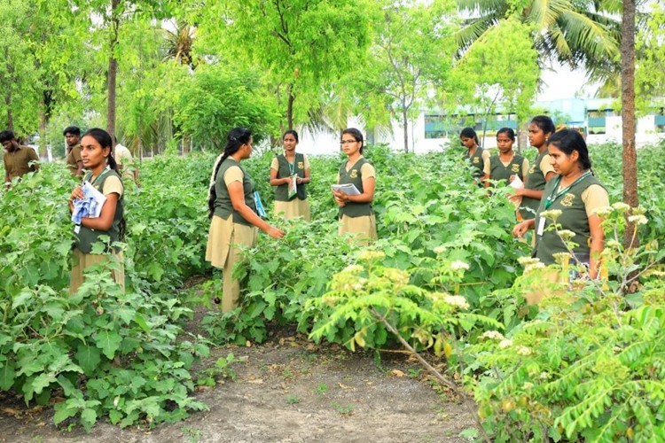 Thanthai Roever Institute of Agriculture and Rural Development, Perambalur