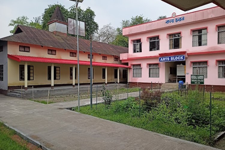 Tinsukia College, Tinsukia