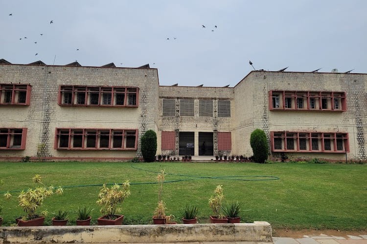 University Commerce College, University of Rajasthan, Jaipur