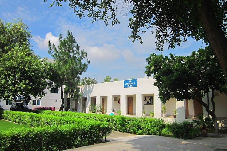 University School of Management & Entrepreneurship, New Delhi