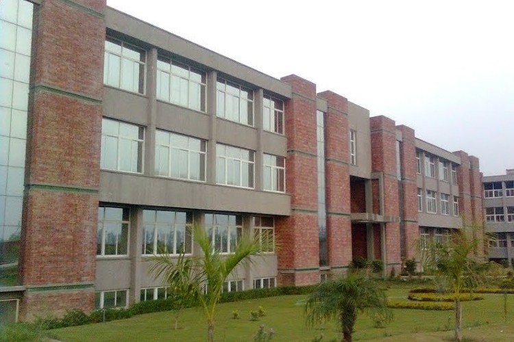 Vidya College of Engineering, Meerut