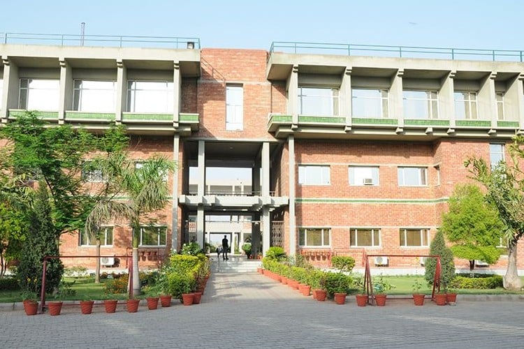 Vidya College of Engineering, Meerut