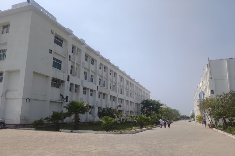 World College of Medical Sciences Research and Hospital, Jhajjar