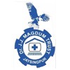 Dr. J. J. Magdum Institute of Nursing Education, Kolhapur