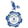 Dr JJ Magdum Ayurvedic Medical College, Kolhapur