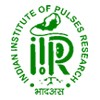 Indian Institute of Pulses Research, Kanpur